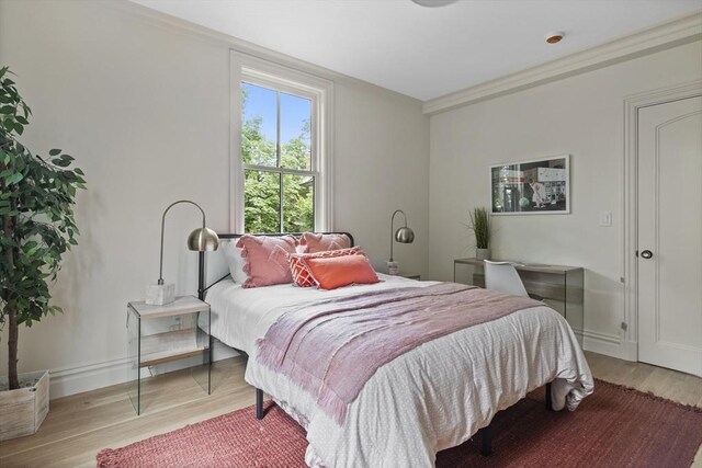 17 Alveston St Unit A, Boston, MA 02130 - bedroom featuring baseboards and light wood finished floors