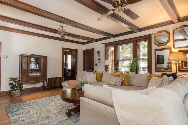 44 Fairview St, Fitchburg, MA 01420 - living room with radiator, wood finished floors, and a ceiling fan