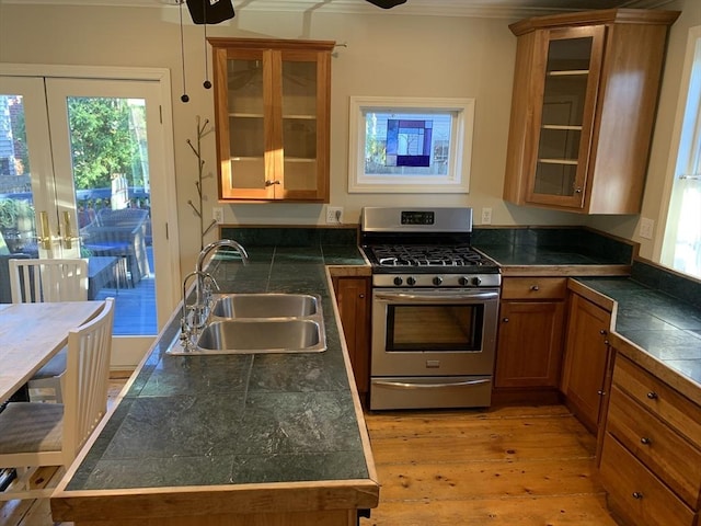 kitchen with gas stove, a sink, a wealth of natural light, and brown cabinets