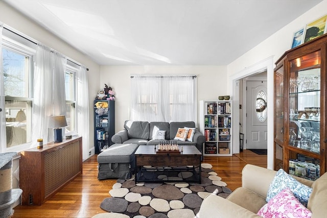 living area featuring wood finished floors