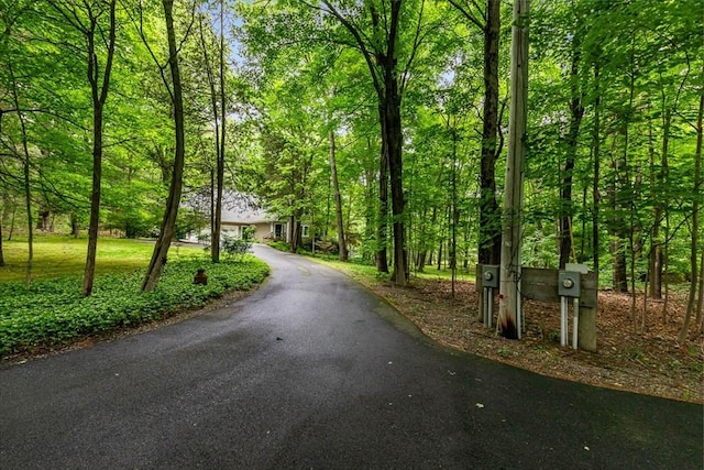 213 N Worcester St, Norton, MA 02766 - view of asphalt driveway with a view of trees