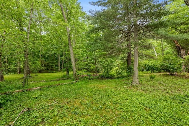 213 N Worcester St, Norton, MA 02766 - view of yard with a view of trees