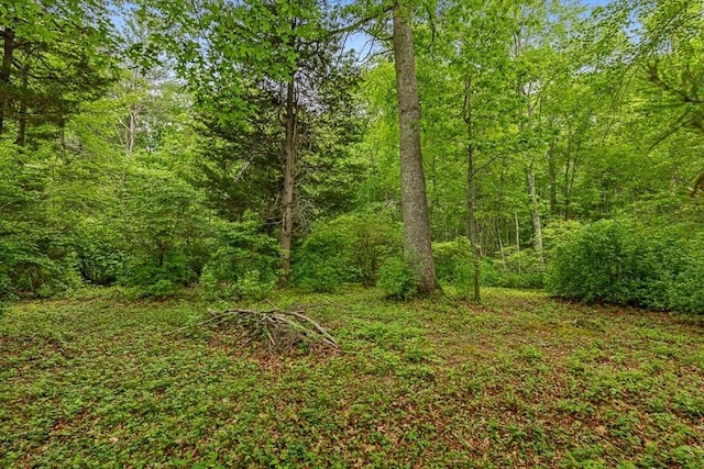 213 N Worcester St, Norton, MA 02766 - view of wooded area