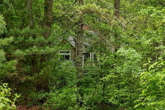 213 N Worcester St, Norton, MA 02766 - view of wooded area