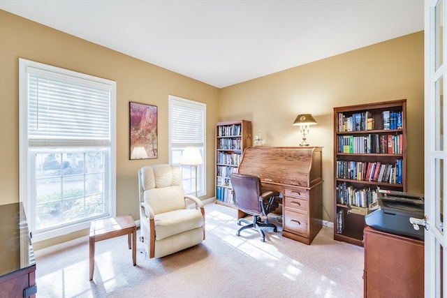 office area featuring carpet flooring