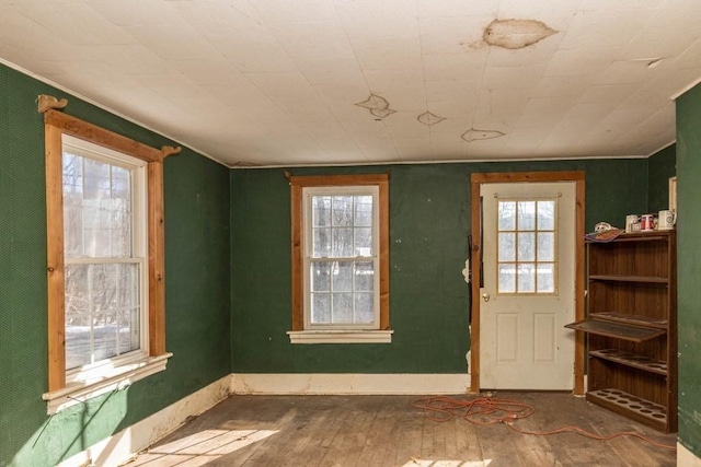 doorway with wood-type flooring