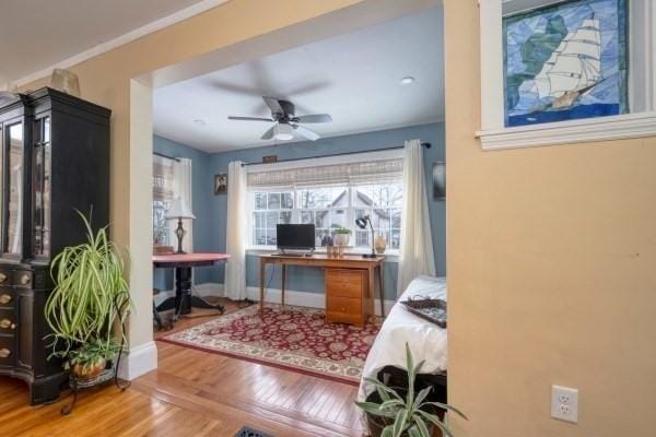 office area featuring wood finished floors, a ceiling fan, and baseboards