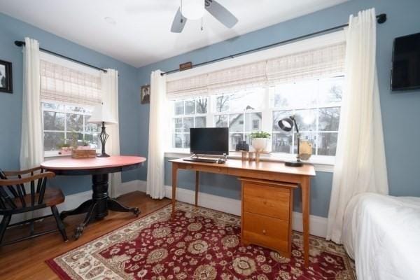 office with plenty of natural light, baseboards, and wood finished floors