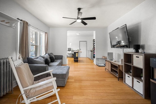 living room with ceiling fan, radiator, and light hardwood / wood-style flooring