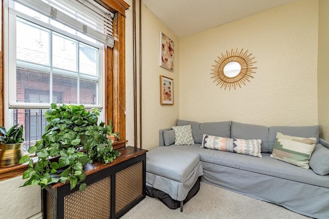 49 Revere St Unit 4, Boston, MA 02114 - carpeted living area featuring a textured wall