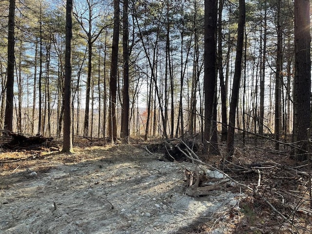 Lot38A Michael Sears, Belchertown MA, 01007 land for sale