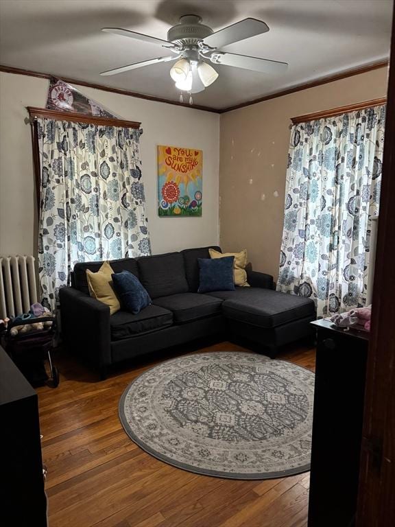 194 Fells Ave, Medford, MA 02155 - living area with radiator heating unit, wood finished floors, ceiling fan, and crown molding