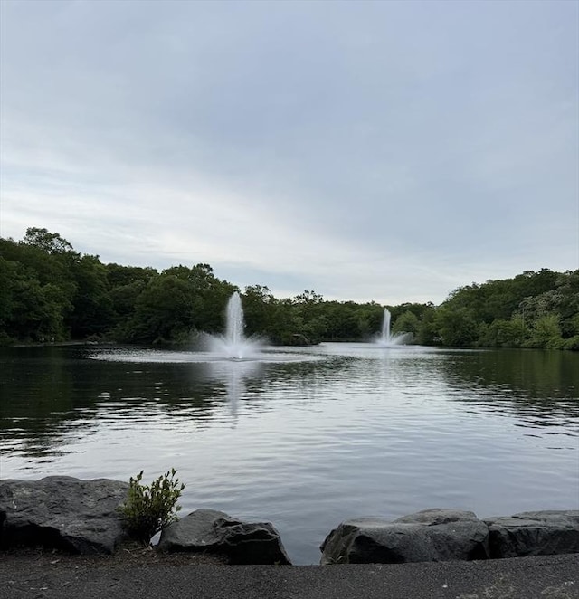 194 Fells Ave, Medford, MA 02155 - water view with a forest