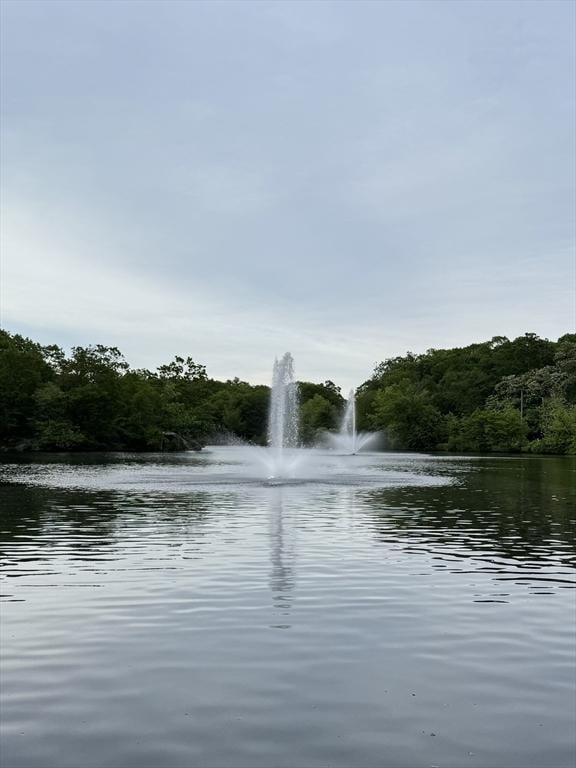 194 Fells Ave, Medford, MA 02155 - water view with a forest