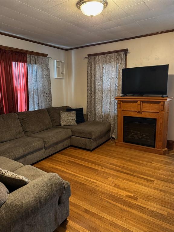 194 Fells Ave, Medford, MA 02155 - living room featuring wood finished floors, a fireplace, healthy amount of natural light, and ornamental molding