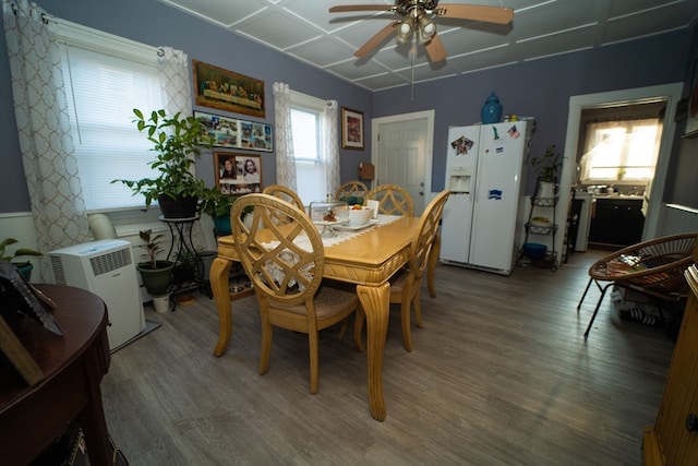 dining area featuring ceiling fan and wood-type flooring