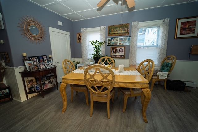 dining space featuring plenty of natural light, ceiling fan, and dark wood-type flooring