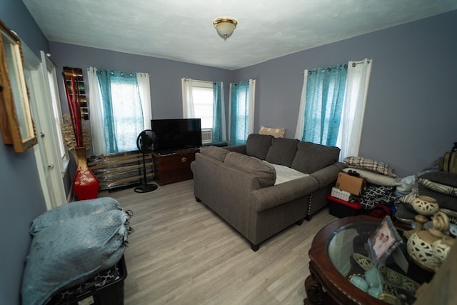 living room with hardwood / wood-style flooring