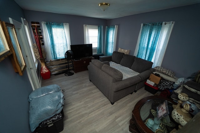 living room featuring wood-type flooring