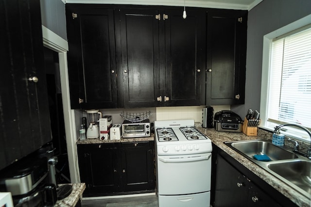 kitchen featuring white range with gas stovetop, hardwood / wood-style floors, and sink