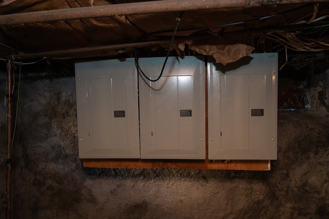 basement featuring electric panel