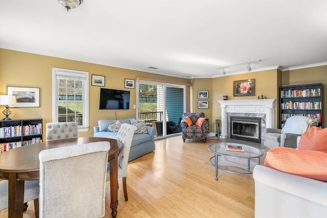 30 N Stone Ml Unit 1211, Dedham, MA 02026 - living area featuring visible vents, track lighting, light wood finished floors, ornamental molding, and a premium fireplace