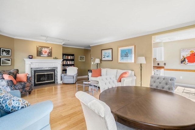 30 N Stone Ml Unit 1211, Dedham, MA 02026 - living room featuring rail lighting, light wood-type flooring, baseboards, ornamental molding, and a premium fireplace