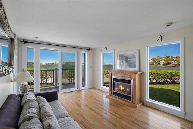 living area featuring a glass covered fireplace, baseboards, light wood-type flooring, and a wealth of natural light