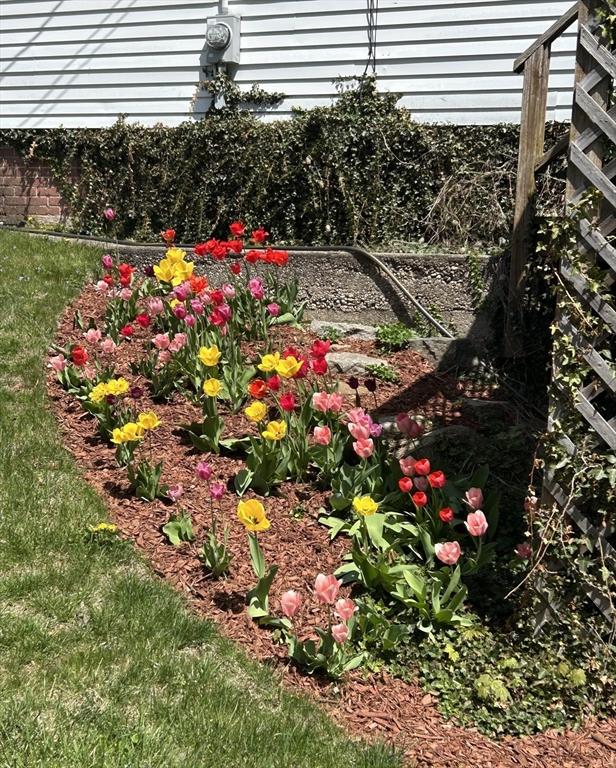 26 W Walnut St, Milford, MA 01757 - view of yard