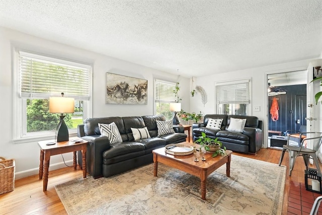 2480 Wilbraham Rd, Springfield, MA 01129 - living room featuring a textured ceiling, wood finished floors, and baseboards