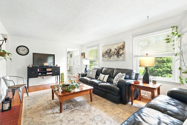 2480 Wilbraham Rd, Springfield, MA 01129 - living area featuring a textured ceiling and wood finished floors