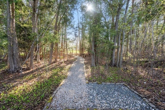 view of road featuring a forest view