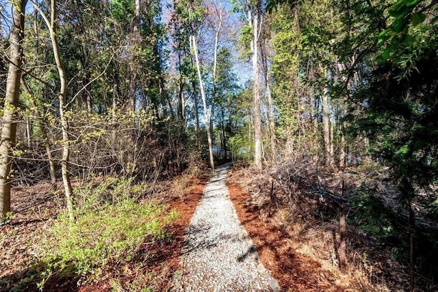 view of street with a wooded view