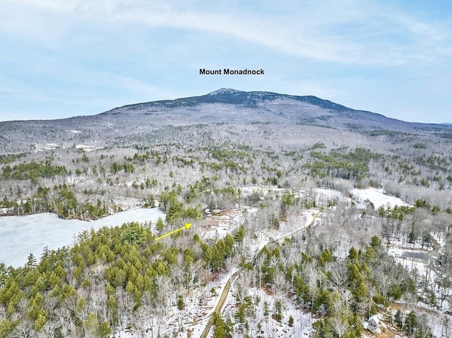 407 Mountain Rd, Jaffrey, NH 03452 - mountain view