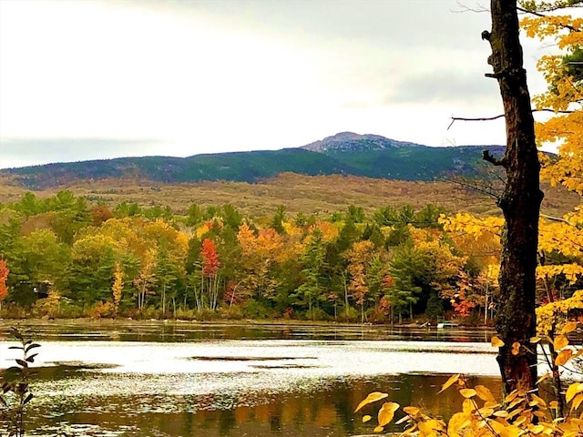407 Mountain Rd, Jaffrey, NH 03452 - mountain view featuring a water view and a forest view