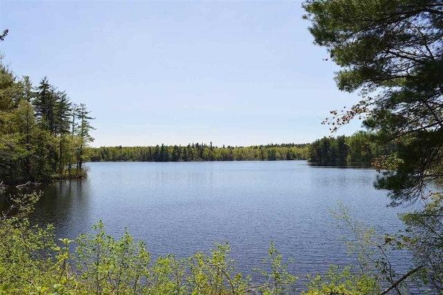 407 Mountain Rd, Jaffrey, NH 03452 - water view with a view of trees