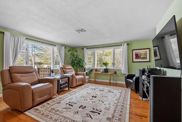407 Mountain Rd, Jaffrey, NH 03452 - living room with light wood-type flooring, a wealth of natural light, baseboards, and visible vents