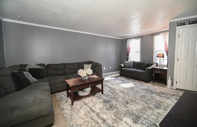 living room with crown molding and baseboards