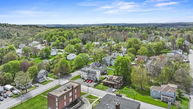aerial perspective of suburban area featuring a forest