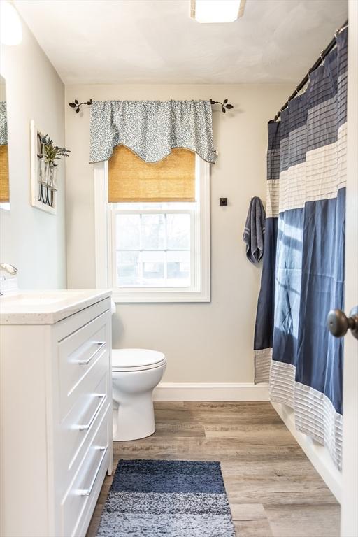 bathroom with vanity, toilet, and wood-type flooring