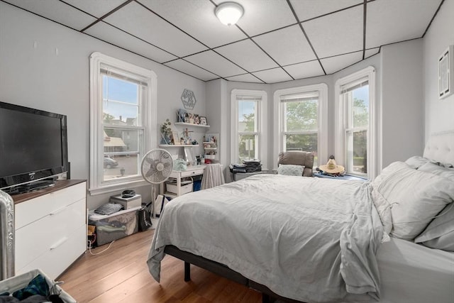 114 Byron St, Boston, MA 02128 - bedroom featuring a drop ceiling, multiple windows, and light wood finished floors