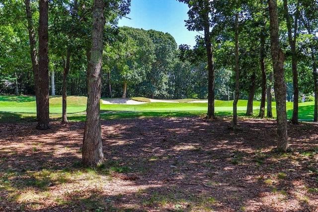 view of property's community featuring a lawn