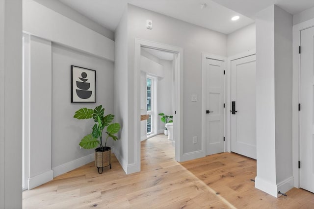 hall featuring light wood-type flooring