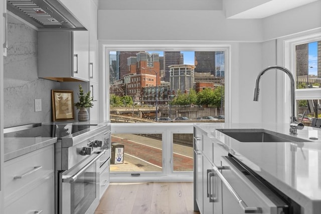 kitchen with sink, white cabinets, high end stove, and plenty of natural light