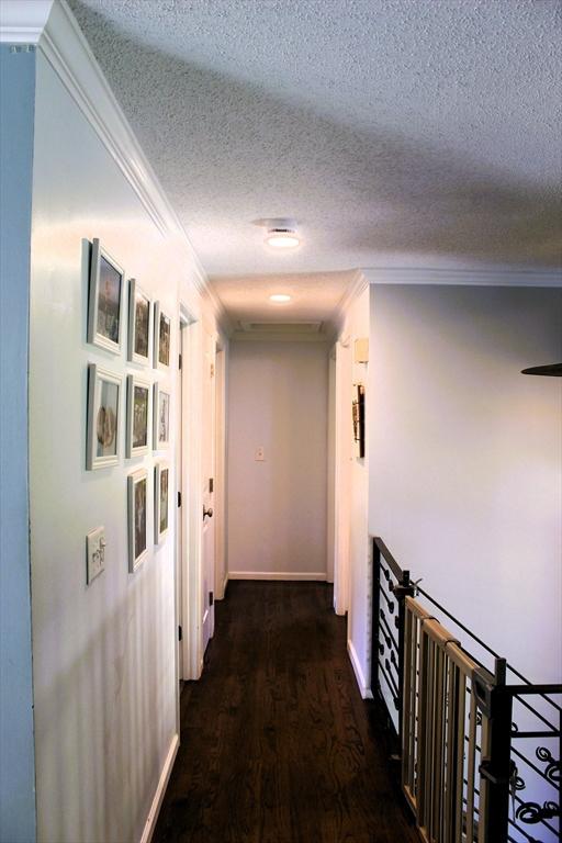13 Laurana Ln, Hadley, MA 01035 - hallway with crown molding, a textured ceiling, wood finished floors, and baseboards