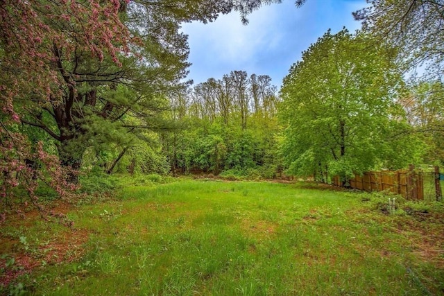 8 N Longyard Rd, Southwick, MA 01077 - view of yard with fence and a view of trees