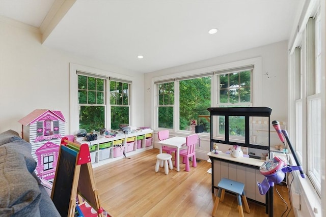 18 Alden St, Newton, MA 02459 - recreation room with wood finished floors, recessed lighting, and ornamental molding