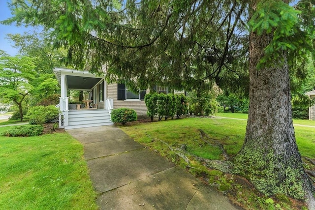 18 Alden St, Newton, MA 02459 - view of grassy yard with a porch and concrete driveway