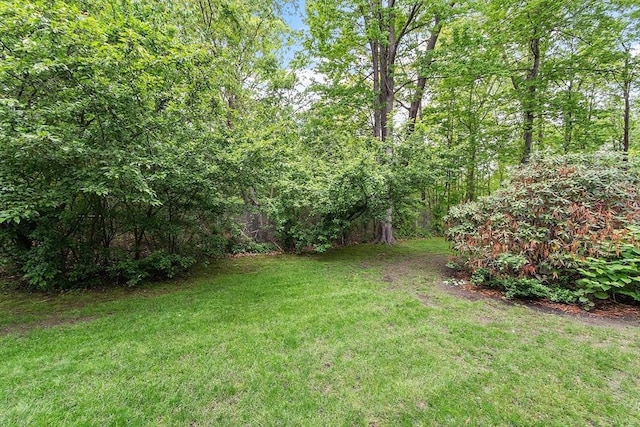 24 Mountainshire Dr Unit 24, Worcester, MA 01606 - view of grassy yard with a wooded view