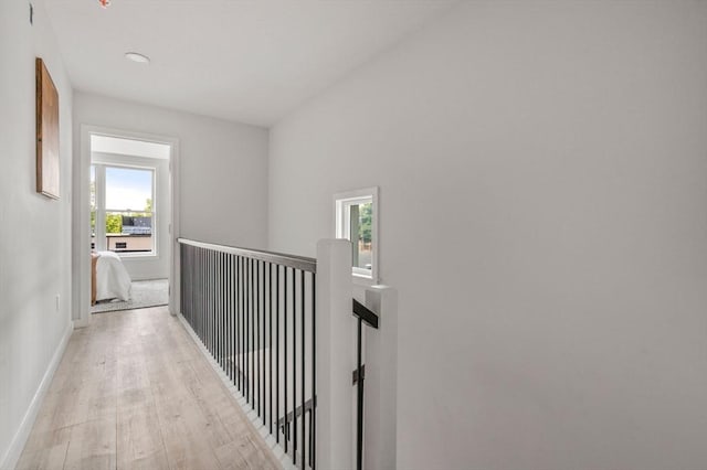 602 Canterbury Unit 5, Boston, MA 02131 - hall with an upstairs landing, healthy amount of natural light, and light wood-type flooring